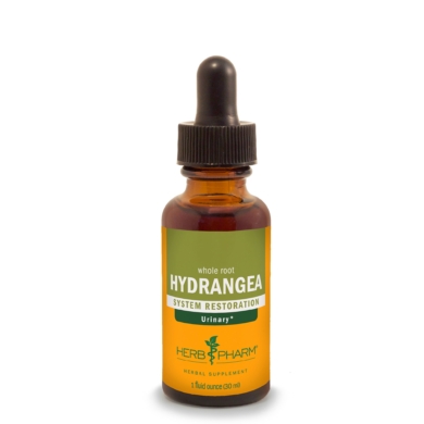 Hydrangea - 1 ounce