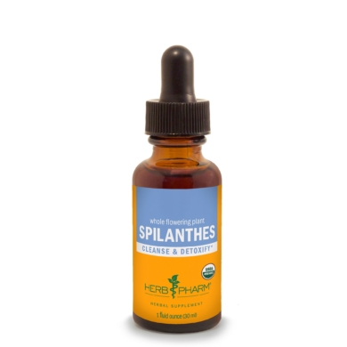 Spilanthes - 1 ounce