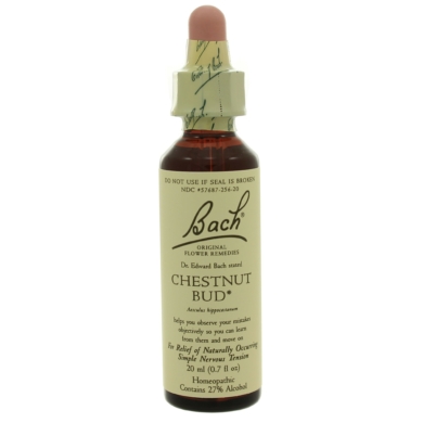 Chestnut Bud - 20 milliliters