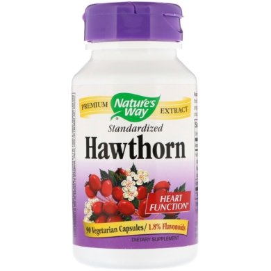 Hawthorn Standardized - 90 capsules