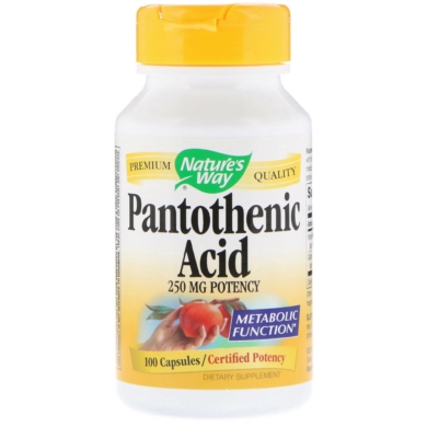 Pantothenic Acid - 100 capsules