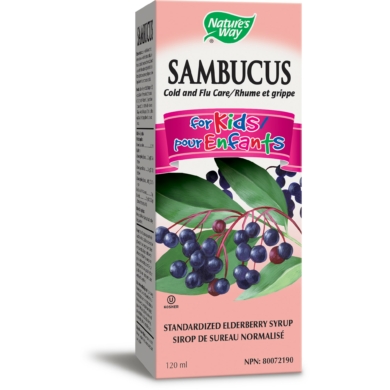 Sambucus for Kids Berry Flavor - 4 ounces